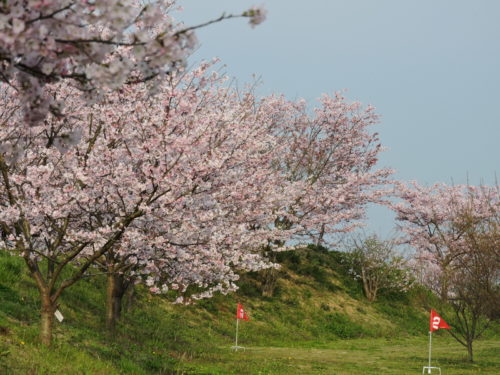 自然の中で遊ぼう 竜田古道の里山公園 スマイルランド ぐるり生駒山系