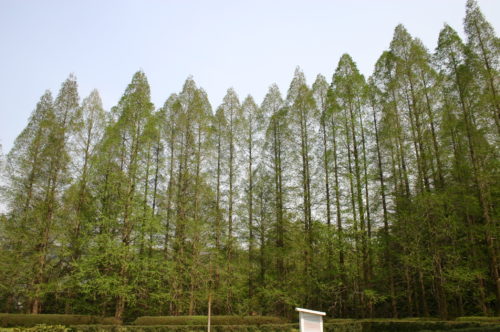 見て触って感じる森の植物園 大阪市立大学理学部 附属植物園 ぐるり生駒山系