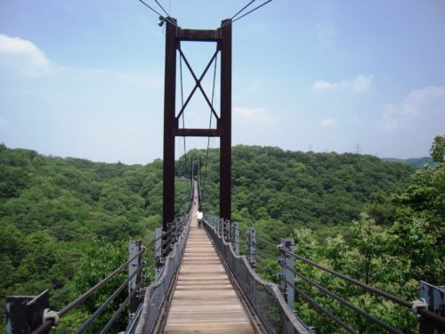 大迫力の吊り橋 星のブランコ で深呼吸 府民の森ほしだ園地 ぐるり生駒山系